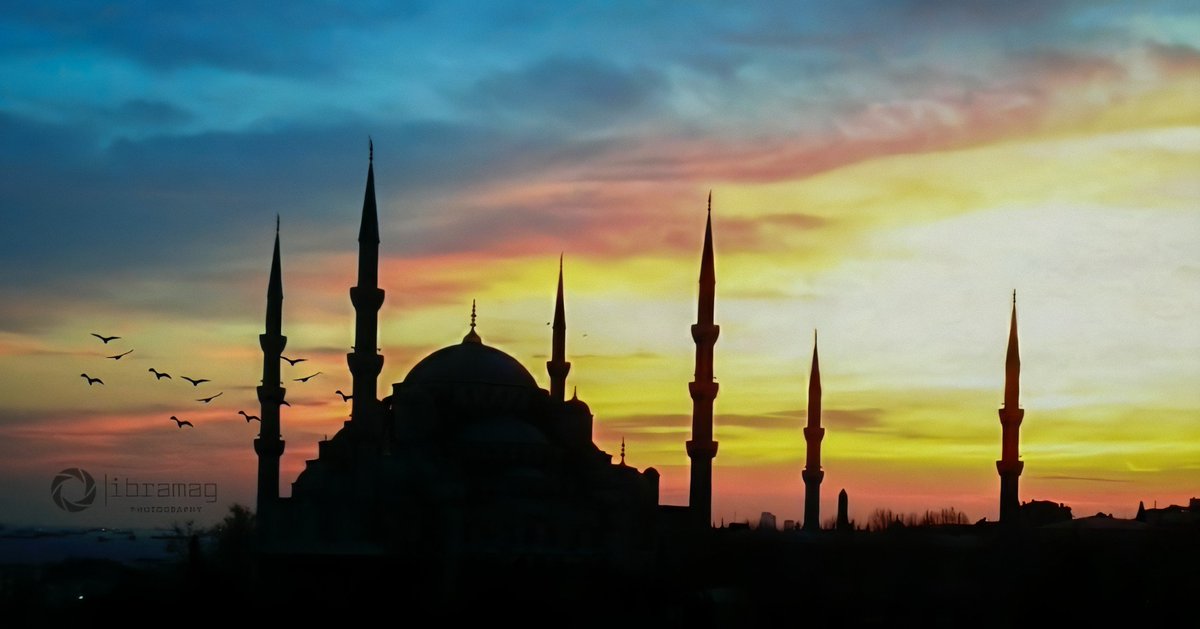 ءٰبـراهيم مغربي tweet media