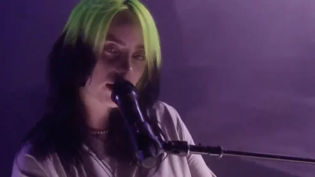 thehill's tweet photo. Billie Eilish appears at #DemConvention: "You don't need me to tell you things are a mess" https://t.co/KgcqZDMUHX https://t.co/90C1FSf8Ux