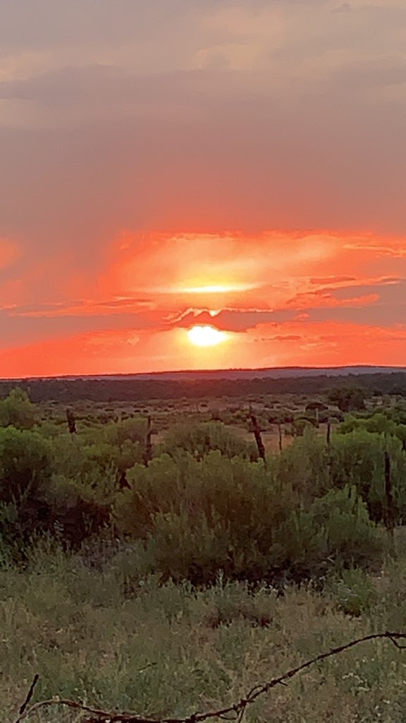 bugslife16's tweet photo. This is why I love where I live at sunsets are definitely awesome #nmtrue #nmsunsets #zuninm #warmevening https://t.co/AzqwKsQhfx