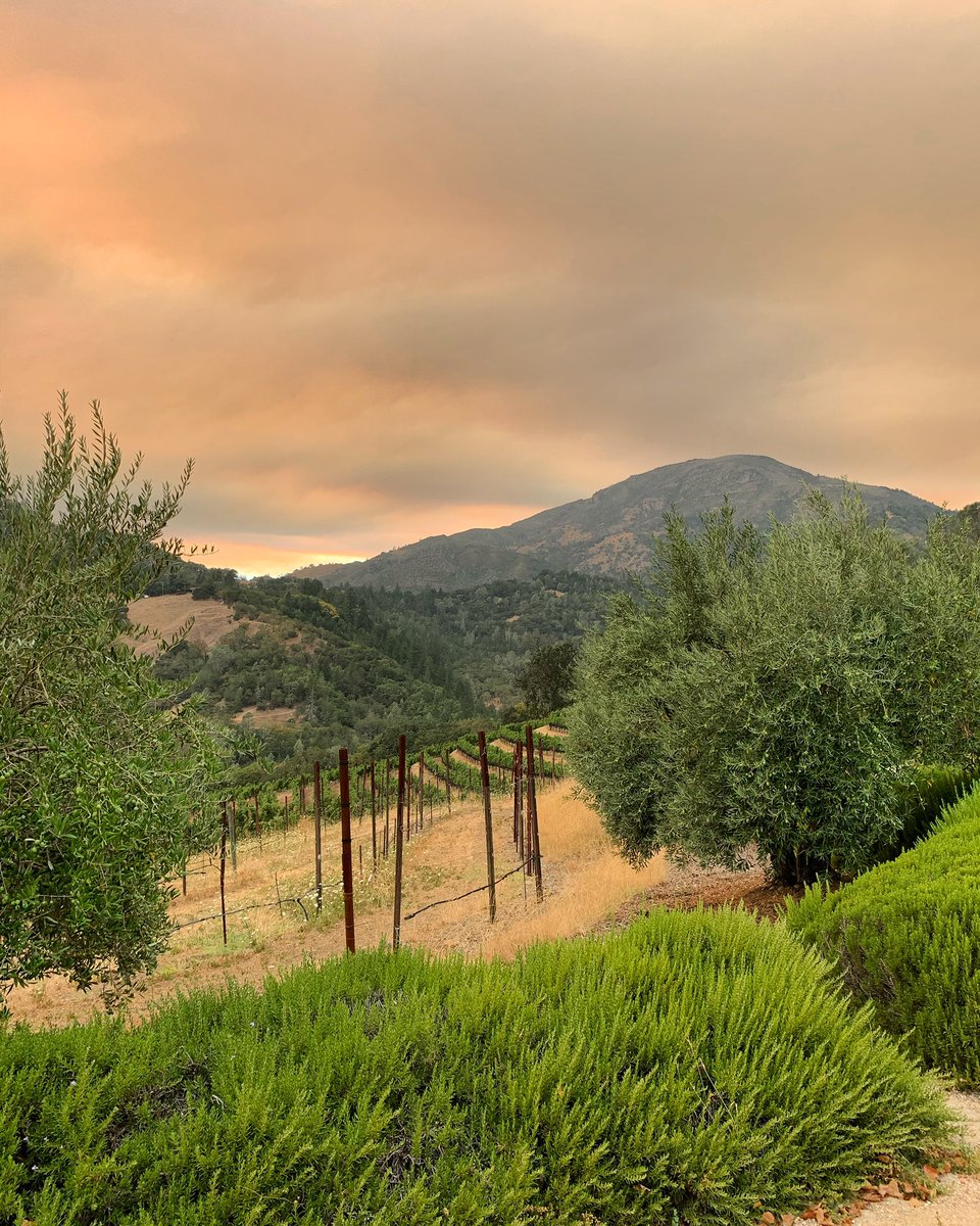 Tonight in the canyon.