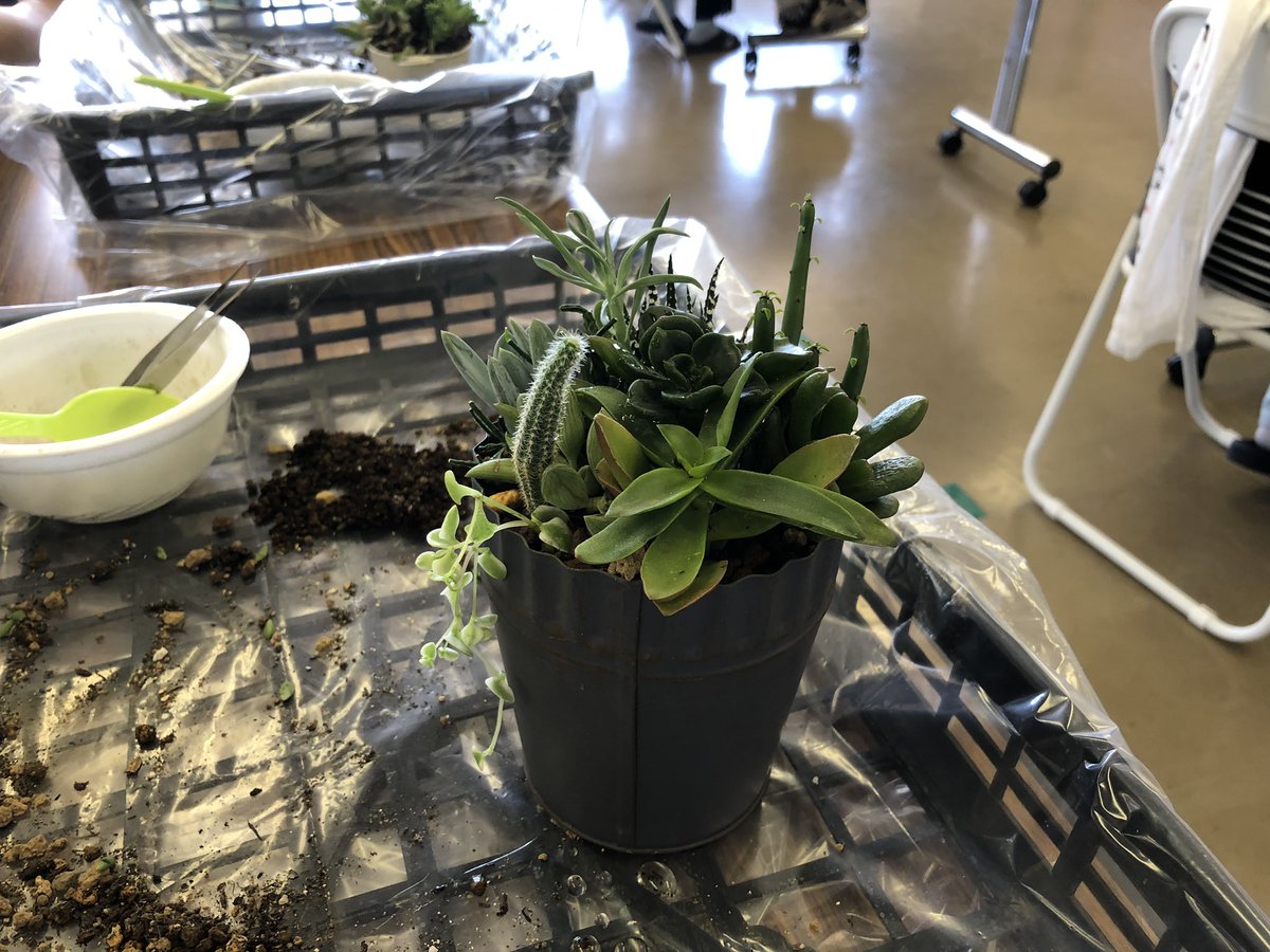 本日は午前 午後と2回に分けて 多肉植物の寄せ植え体験会 を開催しております 皆さん 楽しく体験していただいております 08 動画あり 逢瀬公園 緑化センター ぐるっと郡山