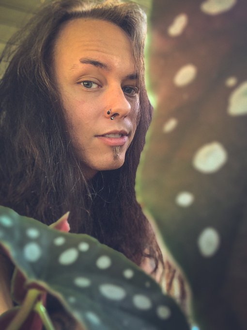 Foliage https://t.co/9UE01PQV3b