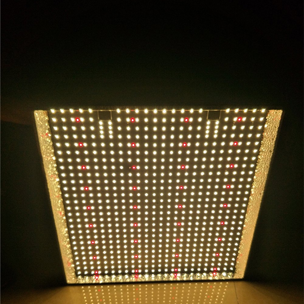 1677715527_2's tweet photo. ECO Farm 150W/300W Quantum Board With Samsung 301B +Red Light MeanWell Driver
#quantumboard #ledlight #growlight #indoorplanting #420light #verticalgarden #hydroponics #grower #canada https://t.co/9cv1XTo4hJ