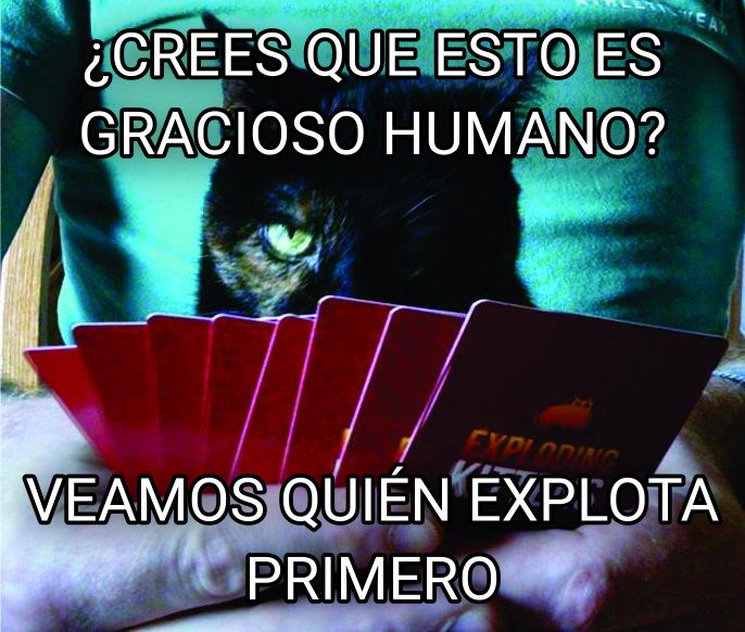 briscacuba's tweet photo. ¿Crees que esto es gracioso, humano?
#ExploddingKittens #JuegosDeMesa https://t.co/oePzaLTvGA
