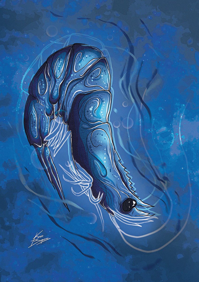KevinBaqueroec's tweet photo. Ilustración...
Si te gusto dale Like y comparte.💙🦐
.
.
.
#adobe #adobephotoshop #wacom #wacomtablet #wacomart #wacomintuos
#ArtistaWacomEcuador #proceso   
#camaron #camaronazul #dibujodecamaron #ilustraciondecamaron #azul #dibujoazul #ilustracionazul https://t.co/NQNbxUcjZc