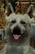 KeeperOfAzoth tweet picture