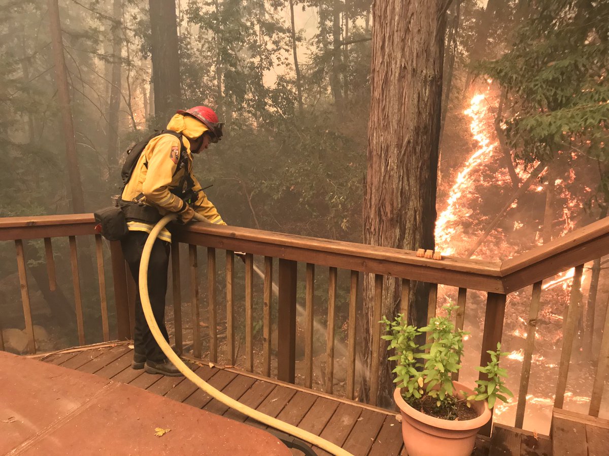 EthanBaron 🇨🇦🇺🇸 tweet media