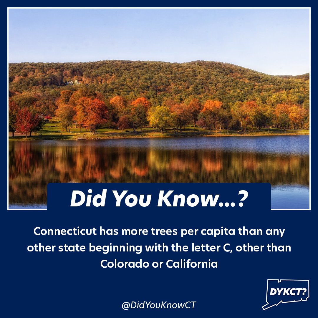 didyouknowct's tweet photo. Did You Know #Connecticut has a particular distinction when it comes to its gorgeous forests?

#CTFacts #FunFaCTs #FallFoliage #SeeingTheForestForTheCs https://t.co/4pcwFZD0Ix