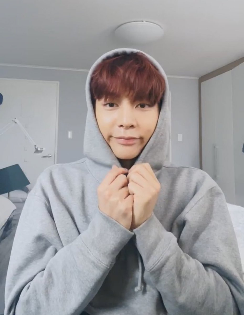 just a thread of 127 as italian greyhounds in hoodies