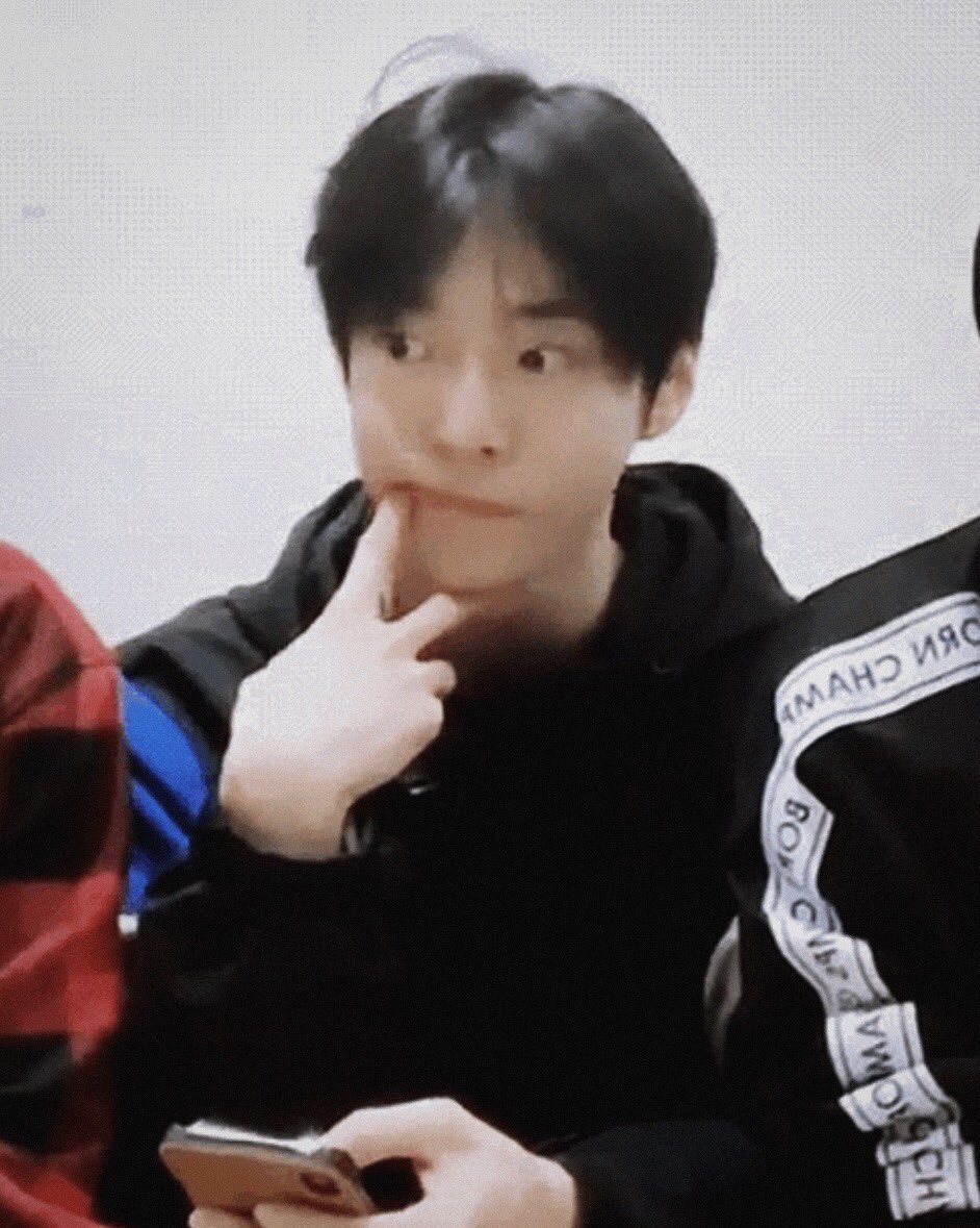 just a thread of 127 as italian greyhounds in hoodies