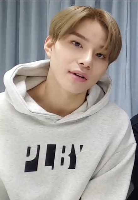 just a thread of 127 as italian greyhounds in hoodies