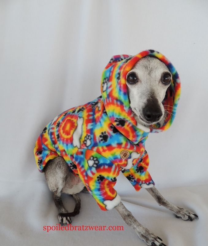 just a thread of 127 as italian greyhounds in hoodies