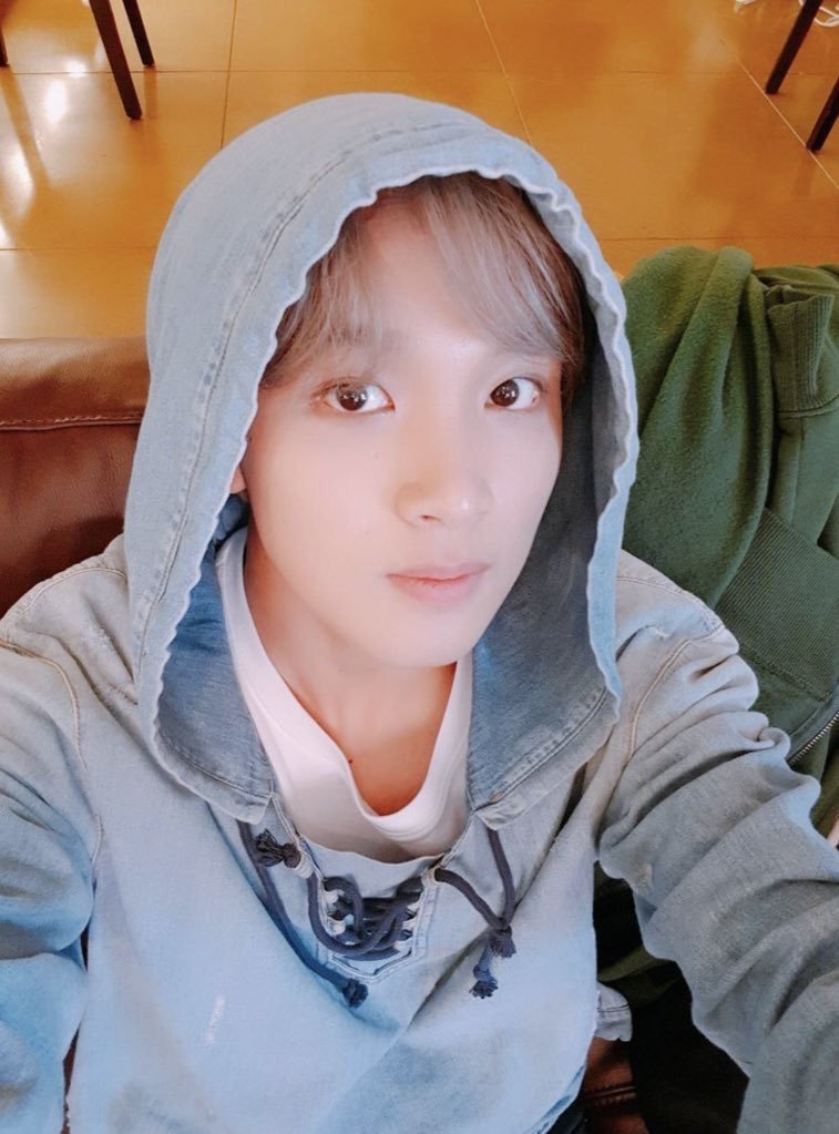 just a thread of 127 as italian greyhounds in hoodies