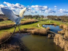 theviotmartial's tweet photo. 21/8 (19h ; Terre d'#oiseaux #Braud-St-Louis) : #sorie crépusculaire commentée dans la #réserve ornithologique. Une ambiance particulière au travers d'une #balade entre #mares, #prairies et bois, 4-6 €. 05 57 32 88 80 https://t.co/vc2JNMfV4d