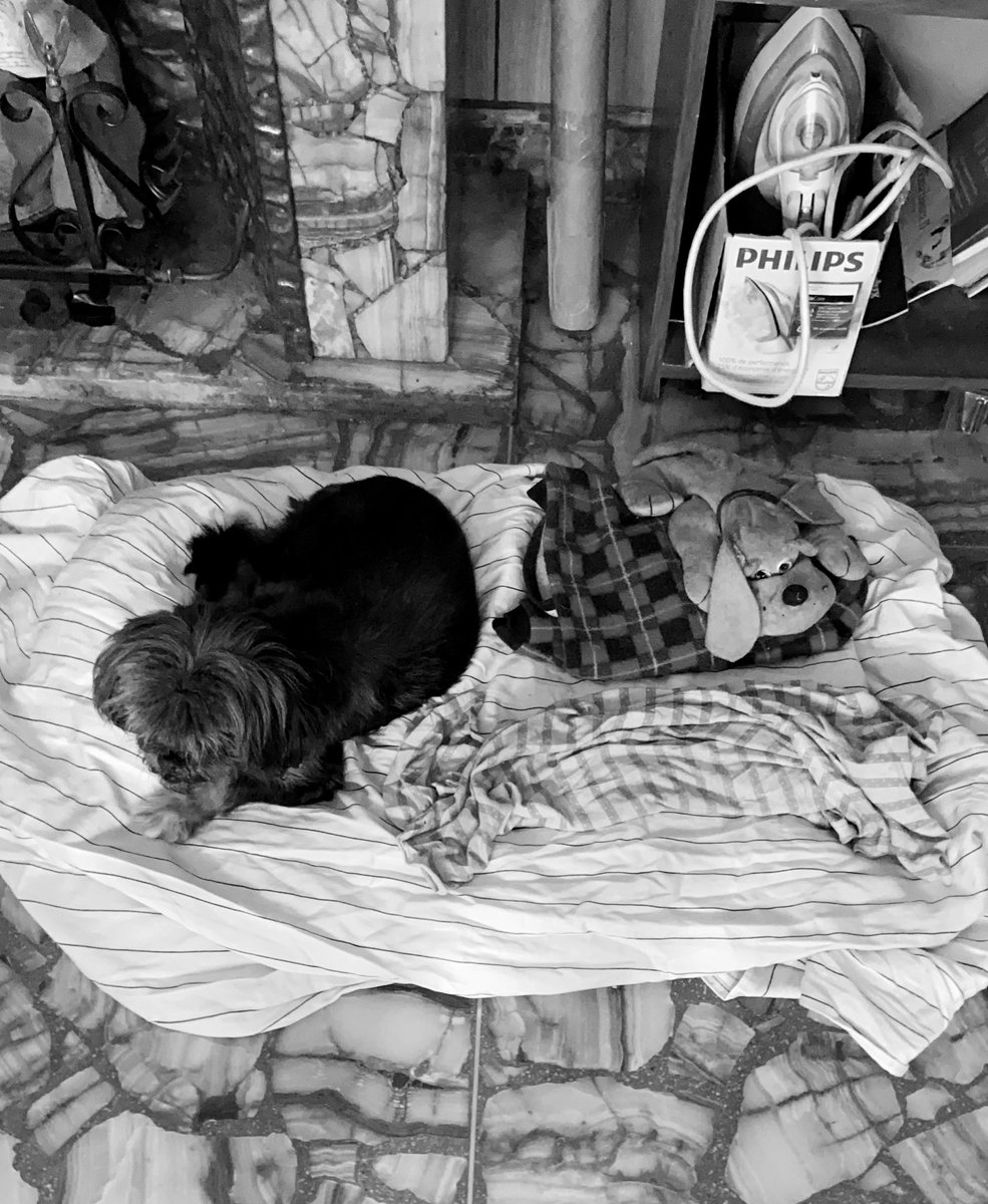 erika ❄️ tweet media