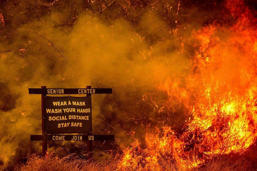 The Best Pictures tweet media