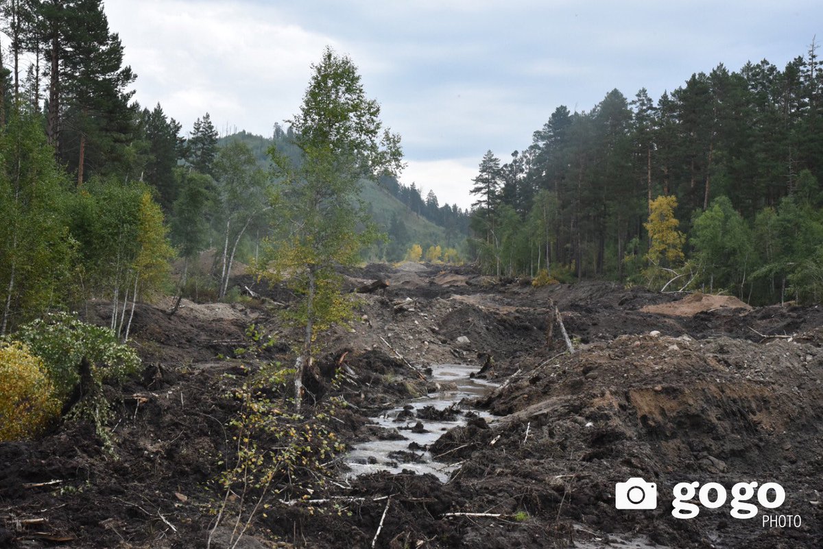 Экологийн Цагдаагийн алба tweet media