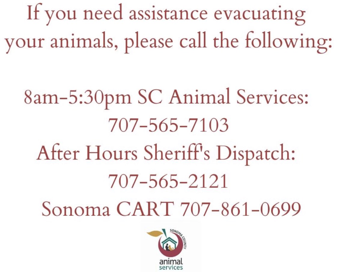  #LNULightningComplex  #LNUlightningcomplexfire  #Horses  #Animals  #SonomaCounty  #sonomafire  #Pets  #Livestock  #DAT  #CaliforniaFires