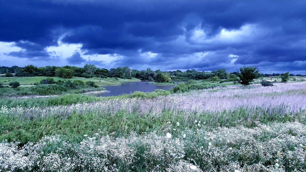 From one of my evening walks #WorldPhotographyDay2020