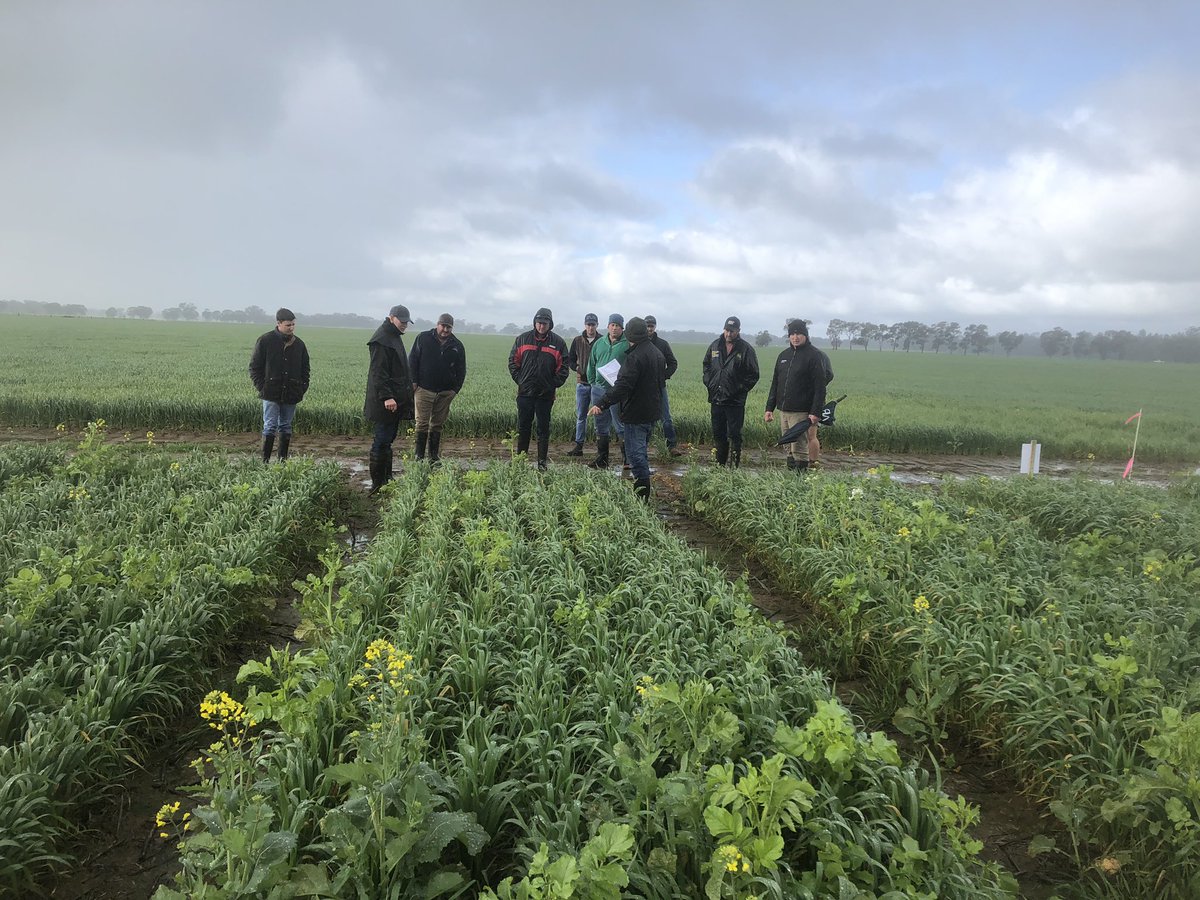 Tim Sweeny tweet media