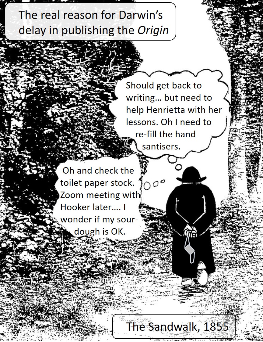A new Darwin and the Sandwalk cartoon on <a href="/ecolincnz/">Ecology@LincolnUniNZ</a> . What would Chuck have made of the current situation? lincolnecology.org.nz/?p=6579