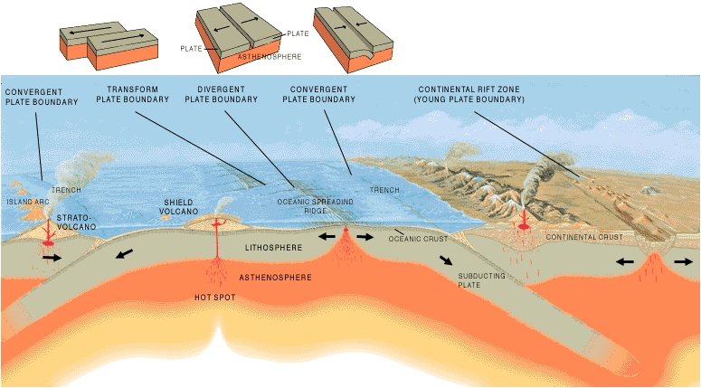 Where do ophiolites originate? Oceanic lithosphere forms at plate spreading centers such as mid-oceanic ridges and more rarely at 'back-arc centers'.As plates diverge, mantle upwells and partially melts. Chemical segregation of melts results in a suite of rocks.