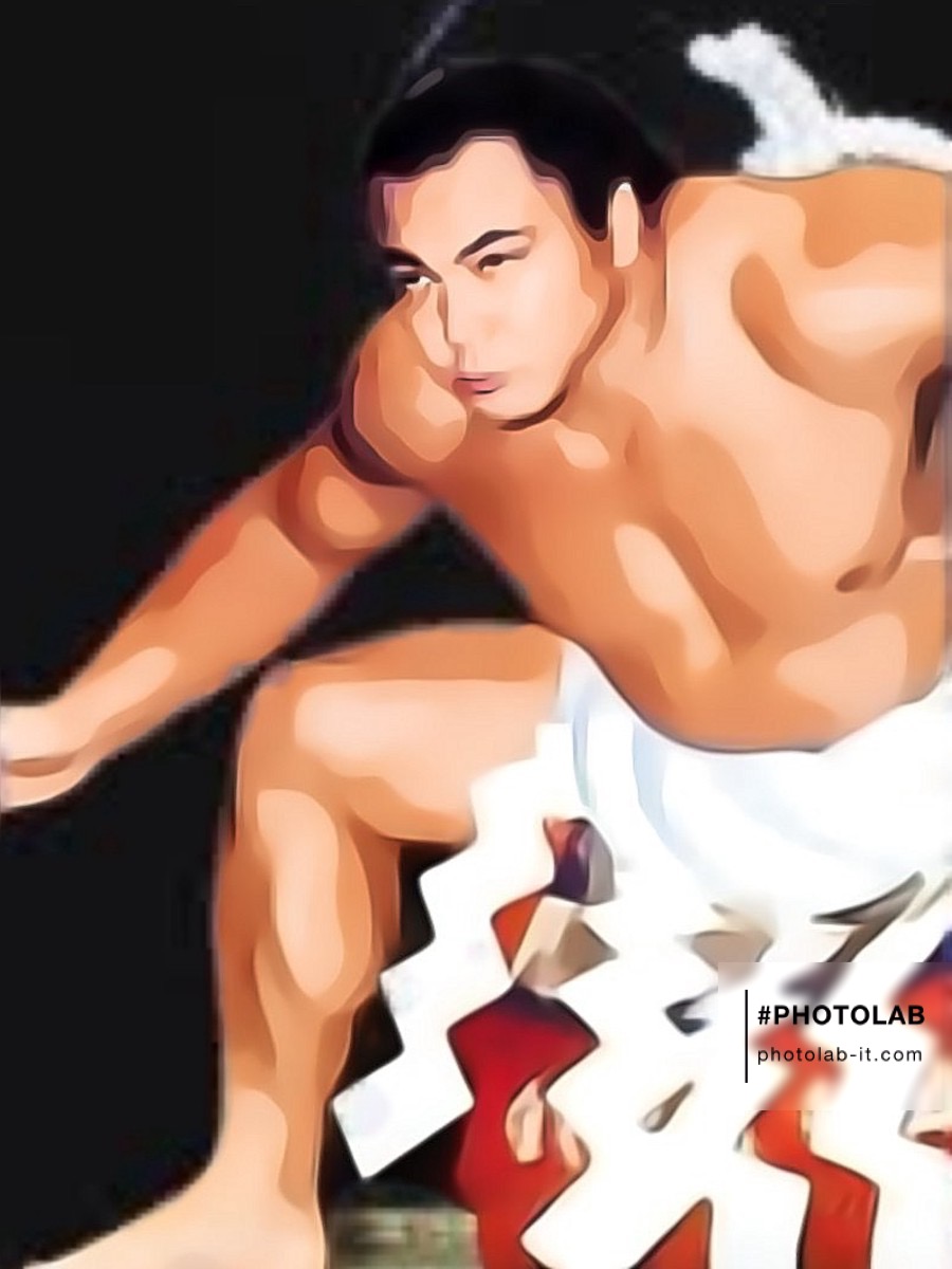 みんなの厳選名言集 頂上であって同時に 崖っぷちなんだよ 千代の富士 名言 格言 金言 Rt歓迎