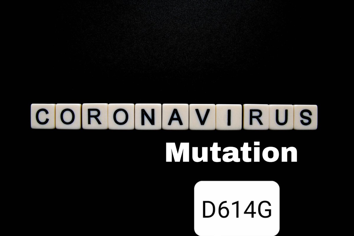 BiologyWit's tweet photo. D614G Virus Spreads in Malaysia...
SARS CoV-2 Mutation...
https://t.co/7B9LAI5Ccb https://t.co/fWF0ZJkI9P