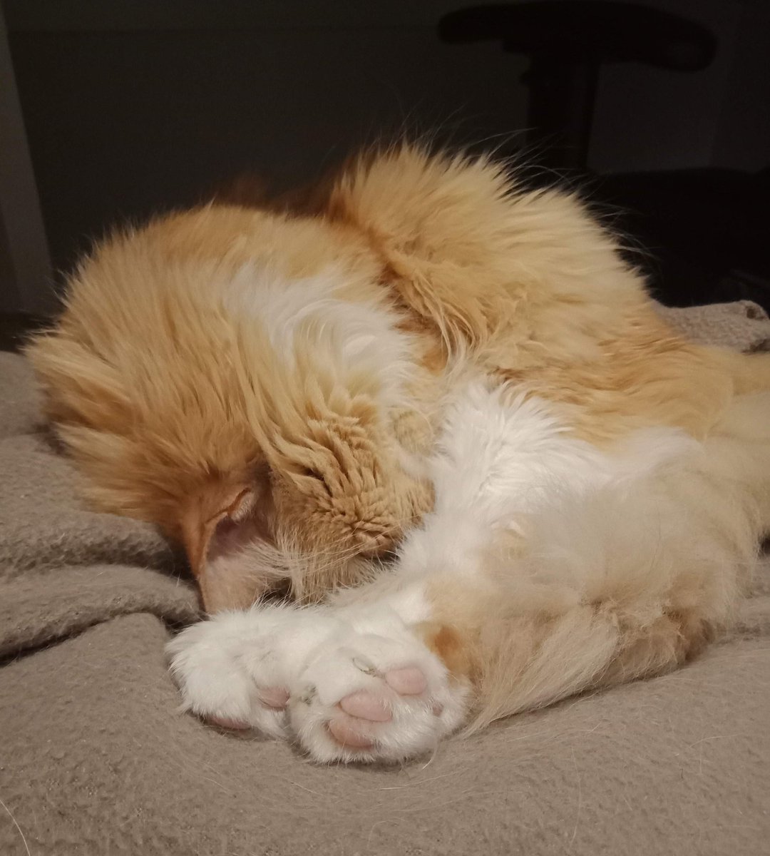 msradcore's tweet image. sadly still not feeling great 😵 will see you guys on Sunday - today i need to rest! #streamerstruggles #restday