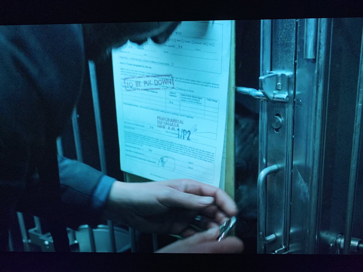 The dog that John Wick takes at the end of the first film was slated to be put down. Just when you think the story can’t get any better... 🤯😭