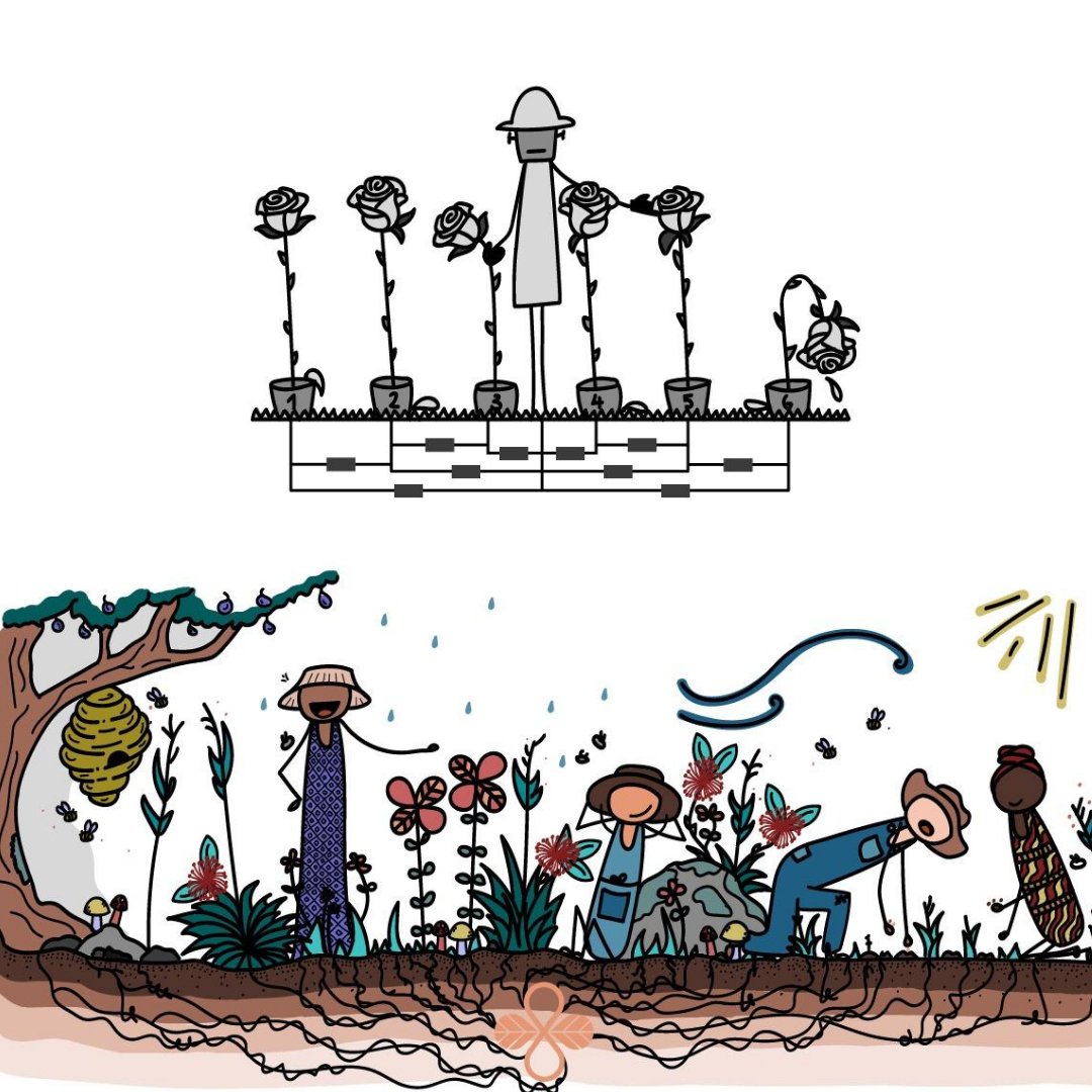 DSIL Global tweet media