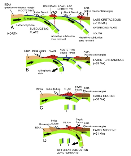 The graphic shows evolution of Indus suture zone (ISZ) as India subducted under Kohistan-Ladakh arc & then collided with the Asia mainland. The ISZ contains the ophiolites which were thrust up during this welding of plates. Leh sits on the Ladakh arc. https://www.sciencedirect.com/science/article/abs/pii/S1342937X12002390?via%3Dihub
