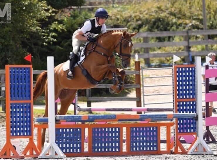 Equine Elite Ireland tweet media