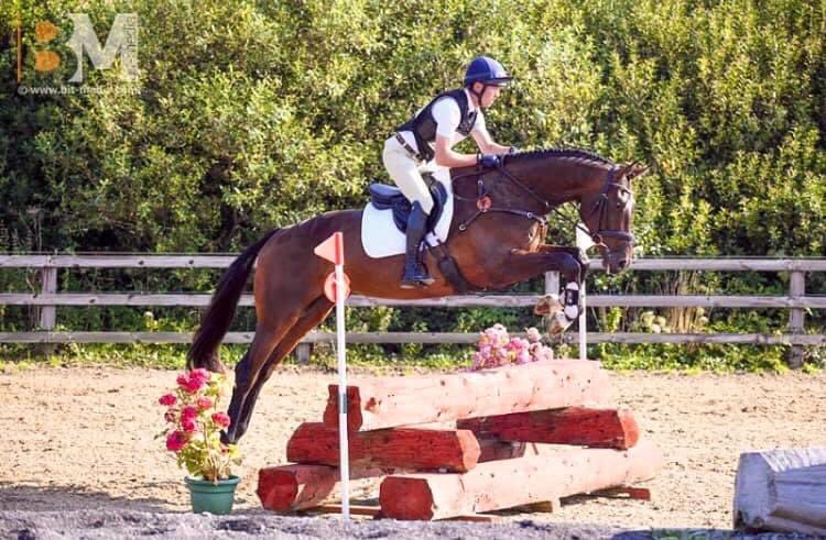 Equine Elite Ireland tweet media