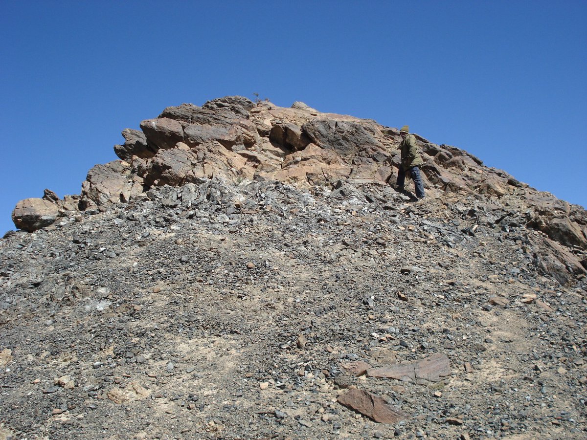 The first pic I posted shows the mantle levels of this Indus ophiolites. The lower dark rubbly looking rocks are harzburgites and the upper light brown rocks are dunites. Dr. Karmalkar is standing somewhere close to the mantle-crust transition zone!