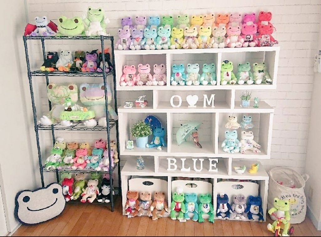 obama_blue's tweet photo. ピクルスが日本のトレンド入りしてて歓喜してるから皆これを見て。
私の部屋。

#ピクルスザフロッグ#かえるのピクルス#picklsthefrog#ピクルス#かえる https://t.co/yli9pakVaO