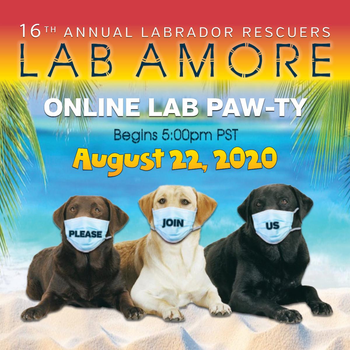 LabRescuersSD's tweet image. Lab Amore Online Auction is Coming conta.cc/3kYqf8F