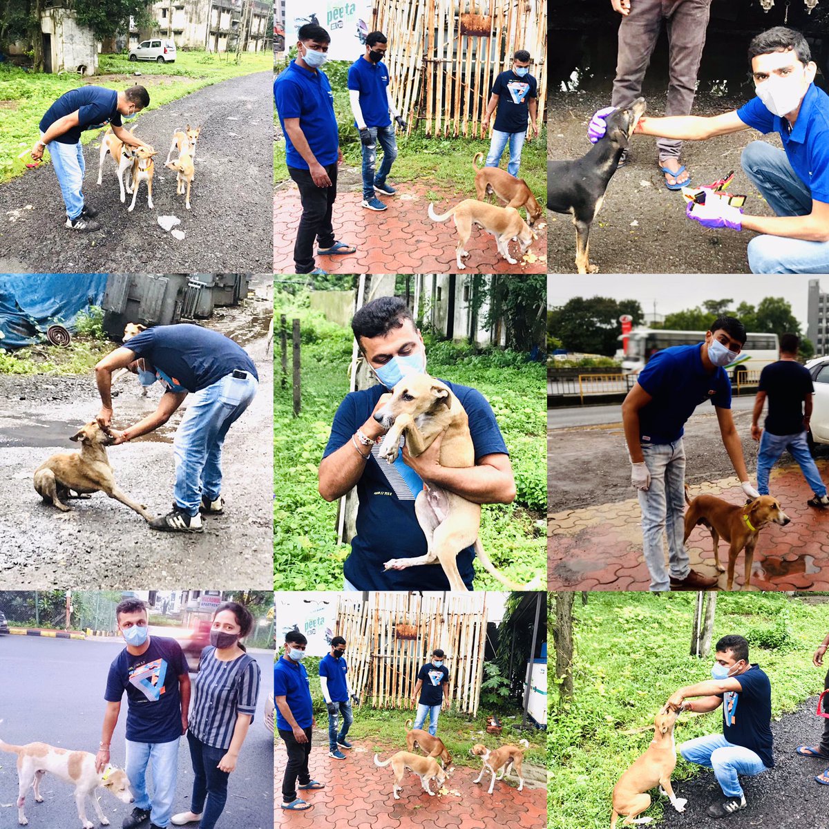 RotaractVapi's tweet image. “સંવેદના : Taking a step forward”

#WelfareProgram For Street Dogs 🦮

Anti-Rabies Vaccination , De-Worming , Reflective Collar &amp;amp; Feeding To Dogs ✨
@Manekagandhibjp 
@vijayrupanibjp 

#RotaractVapi 
#Rotaract3060 
#AnimalWelfare 
#DogLove