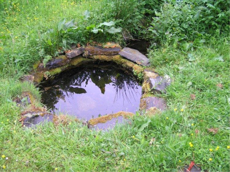 Scotland has a long tradition of healing wells, with 600+ water sources once deemed to have curative powers. Some date back to the druids, while others were adopted by Christians and dedicated to particular saints, such as St Fumac's Well, in Moray (pictured).  #FolkloreThursday