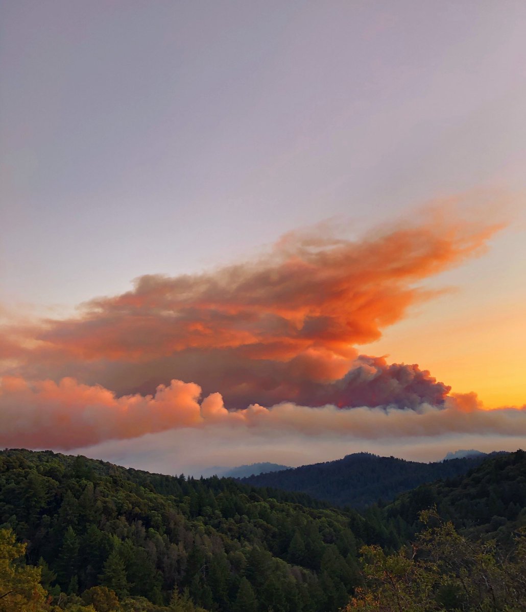 zachnd's tweet image. View of the #CZUAugustLightingComplex fire from Skyline Boulevard. Sending love to everyone that’s been impacted 😔❤️
