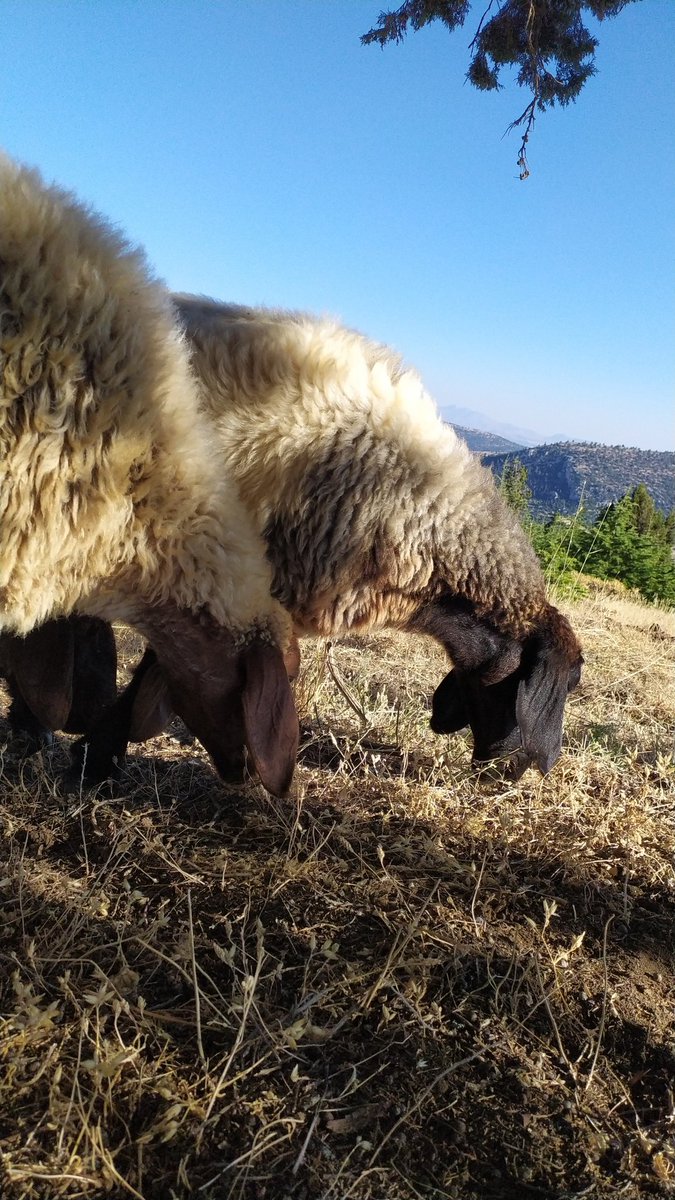 Dry_brs_3396 (@3396brs) on Twitter photo 