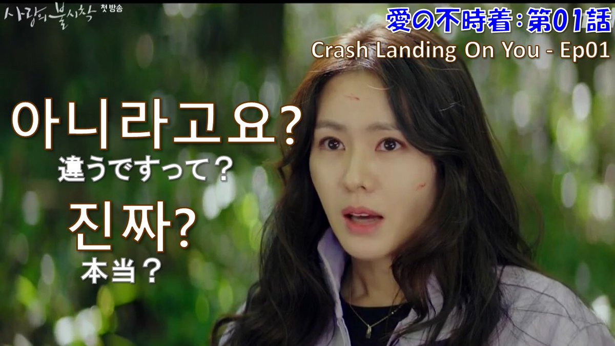 チェミコリアン 大人気韓国ドラマ 愛の不時着 사랑의불시착 会話でよく使う30フレーズを勉強しよう 第01話 T Co X3o62ylkfz チェミコリアン韓国語教室 チェミコリアン Chemikorean 韓国語 韓国語講座 현빈 손예진 ヒョンビン ソン