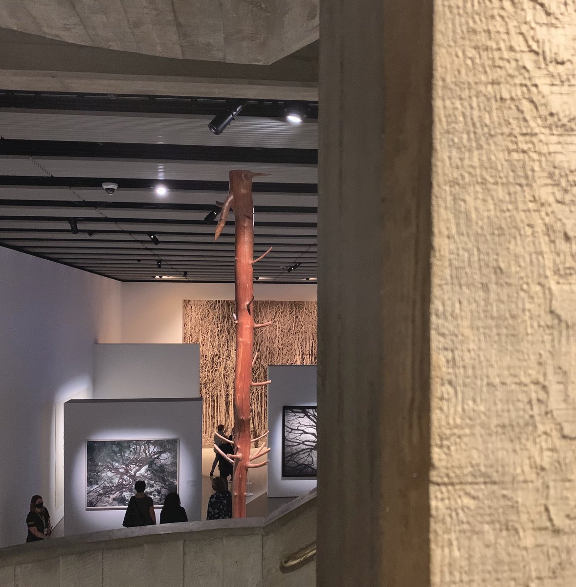 benmatthews's tweet image. #amongthetrees #brutal #concrete #wood  @haywardgallery