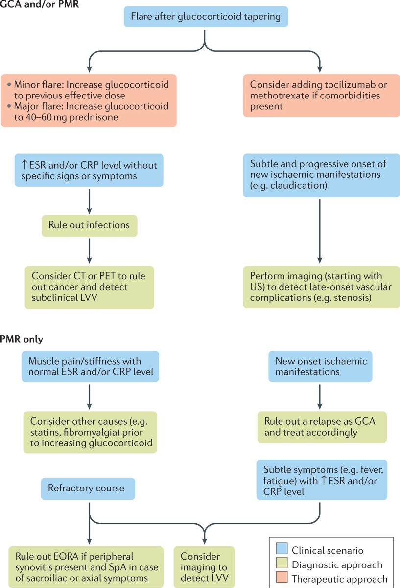 NatRevRheumatol's tweet photo. #SeptIssue | Learn about the current evidence on the monitoring and long-term management of patients with giant cell arteritis and polymyalgia rheumatica in our #Review
#Free for one month https://t.co/NWYW9ShHwS
#rheumtwitter #rheumatology #vasculitis https://t.co/x0ZCSiD49w