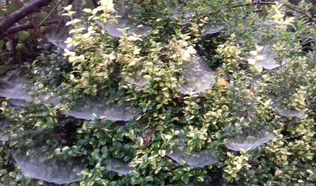 STAYING ACTIVE
If you don’t stay active the results can be negative! Don’t allow the cobwebs to get hold. Keep well, move well and love life, Carolyn
www.10minutehomeworkout #PolarityTherapy
#wellness #energy #exercise #feelingmotivated
#health #flexibility #mentalhealth