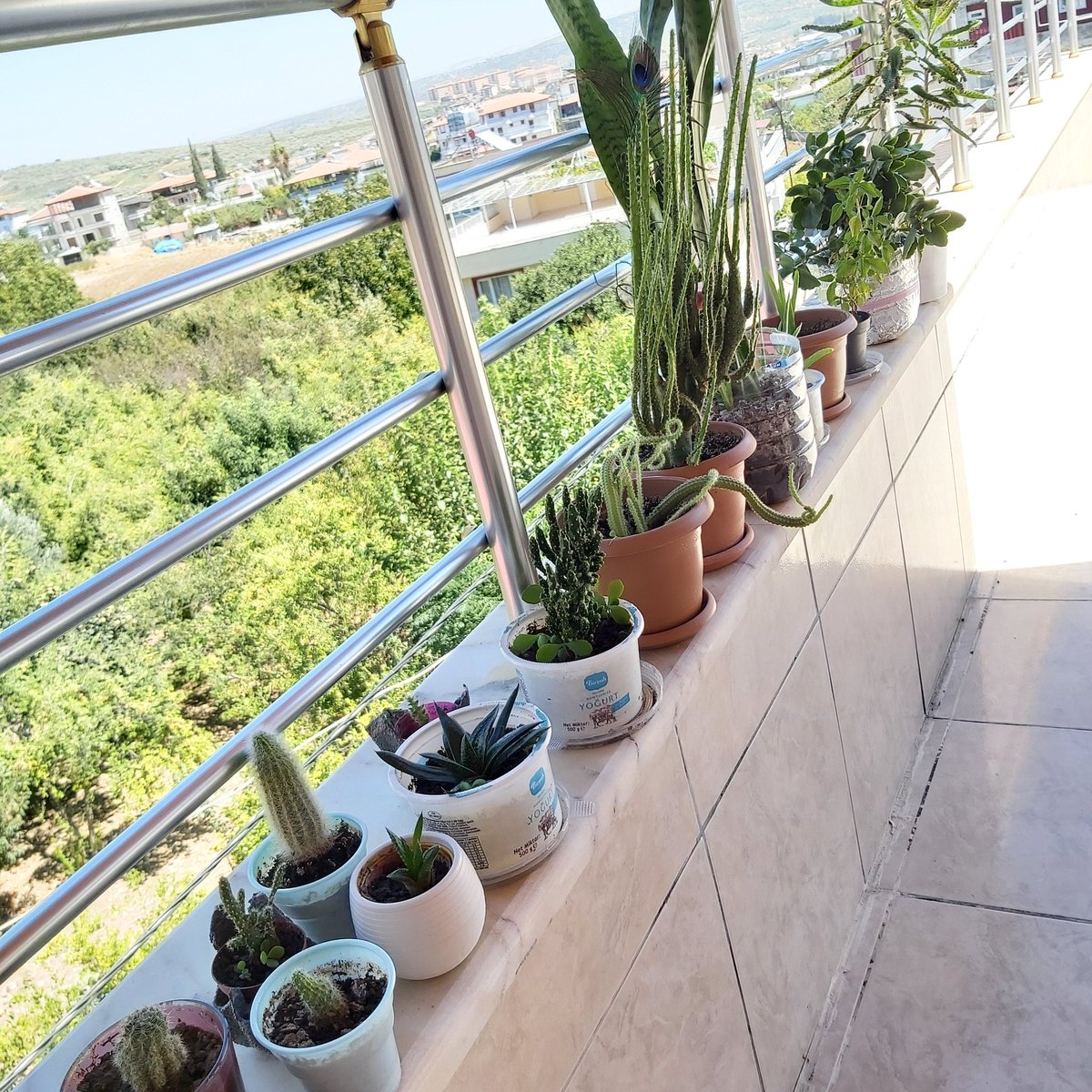 Mutluluk bu olsa gerek😍🥰