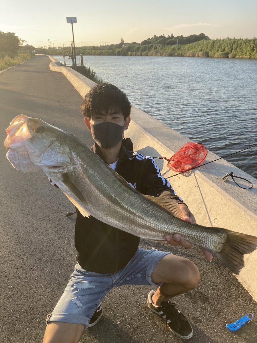 おてもとポメラニアン 今日は九十九里の作田川で夕まずめやって来ました ダイソールアーでまたデカシーバス釣れました T Co 0q56mwclax Twitter おてもとポメラニアン 今日は九十九里の作田川で夕まずめやって来ました ダイソールアーでまたデカシーバス釣れました T Co 0q56mwclax Twitter