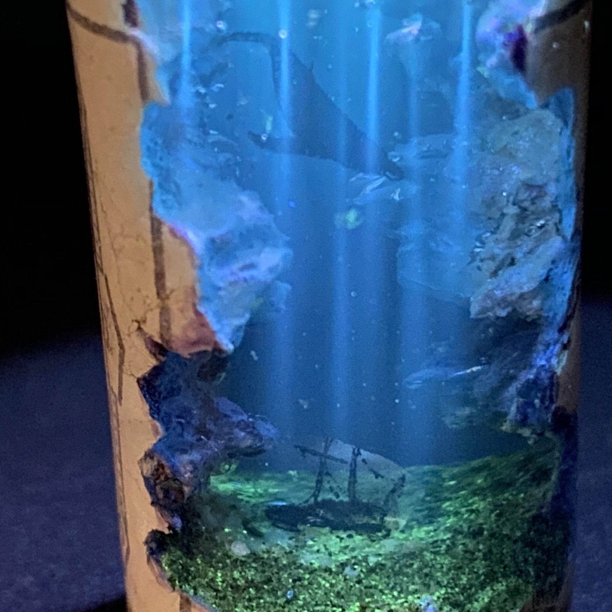 M S Craftworks 海の宝箱物語 宝を護るもの 海底に眠る海賊船と船の周りに散らばる金銀財宝 そしてそれを護るかのようにゆっくりと周回するクジラ 海底に光のさす一瞬 僅かな光を反射して海底が煌めく そんな様子を表現してみました T Co