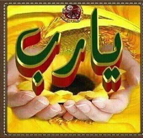 شكرًا لمن أشعلوا في القلبِ حبّهم
و قدّموه إلى النّسيان قُرْبانا

و أيقظوا فيه نبضًا صادقًا ونسوا
أنّ الذي يحملُ الإحساسَ إنسانا ..
اللهم استودعتك امري، دعوتك ان تجبر بخاطري، وتلطف بايامي القادمة، ان كان لنا عمرا، فانت وجهتي واملي، قادر على كل شيء 
يا آلله يا كريم