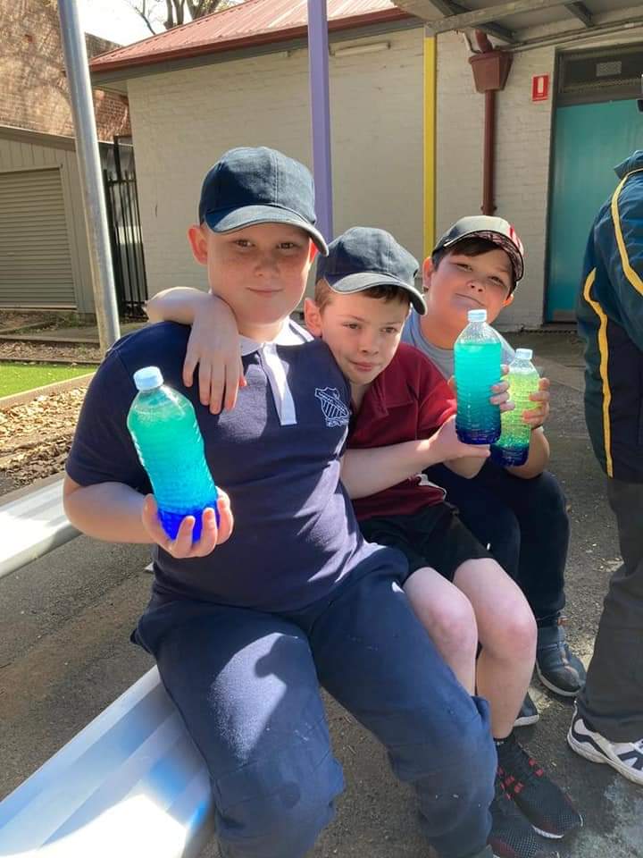 michellelgomes's tweet image. Lava Lamps  oil and water do not mix
#scienceinaction #ScienceWeek  #bridgeroadschool #engagingstudents @NSWEducation